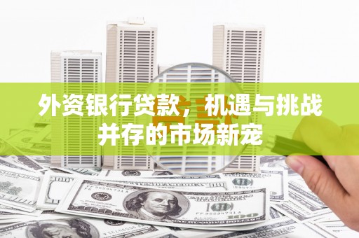 淄博外资银行贷款，机遇与挑战并存的市场新宠