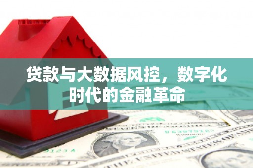 淄博贷款与大数据风控，数字化时代的金融革命