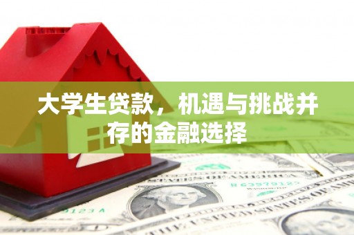 淄博大学生贷款，机遇与挑战并存的金融选择