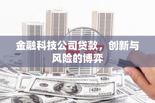淄博金融科技公司贷款，创新与风险的博弈