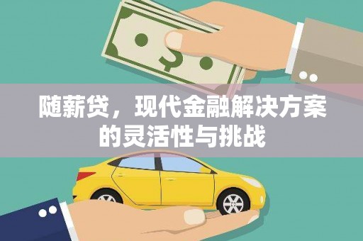 淄博随薪贷，现代金融解决方案的灵活性与挑战