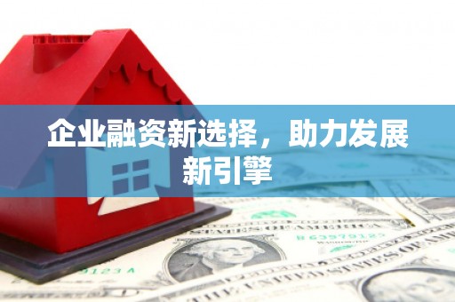 淄博企业融资新选择，助力发展新引擎