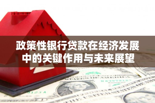 淄博政策性银行贷款在经济发展中的关键作用与未来展望