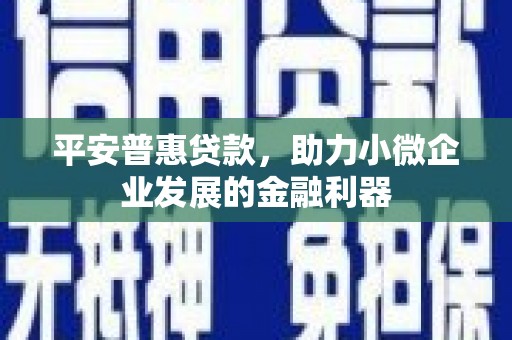 淄博平安普惠贷款，助力小微企业发展的金融利器