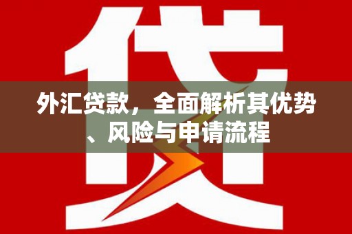 淄博外汇贷款，全面解析其优势、风险与申请流程