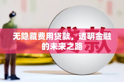 淄博无隐藏费用贷款，透明金融的未来之路