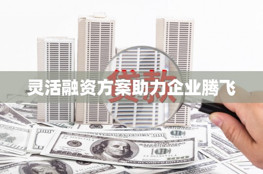 淄博灵活融资方案助力企业腾飞