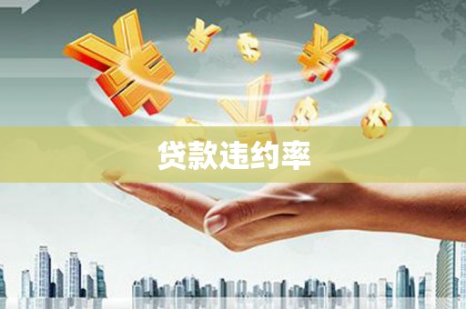 淄博贷款违约率