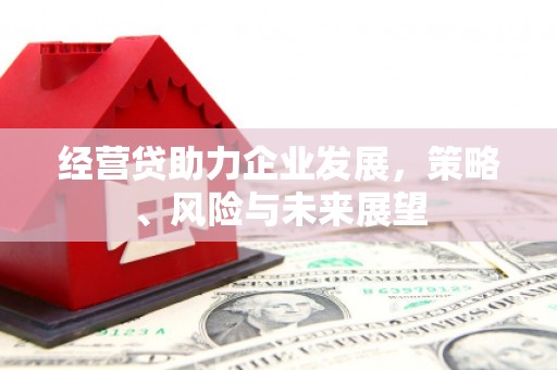 淄博经营贷助力企业发展，策略、风险与未来展望