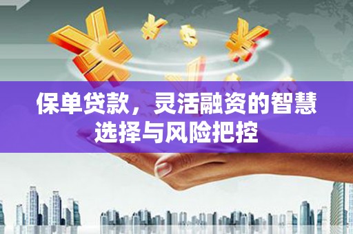 淄博保单贷款，灵活融资的智慧选择与风险把控