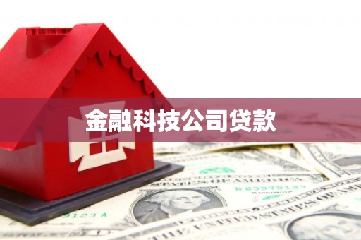 淄博金融科技公司贷款