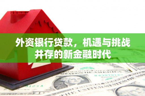淄博外资银行贷款，机遇与挑战并存的新金融时代
