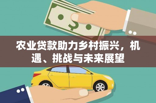 淄博农业贷款助力乡村振兴，机遇、挑战与未来展望