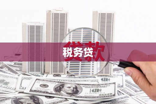 淄博税务贷