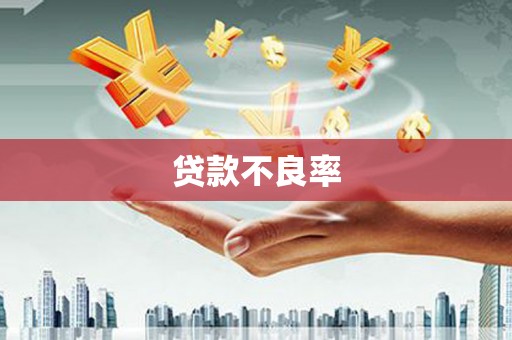 淄博贷款不良率