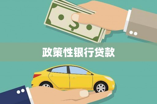淄博政策性银行贷款