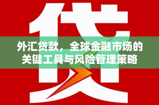 淄博外汇贷款，全球金融市场的关键工具与风险管理策略