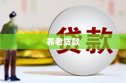淄博养老贷款