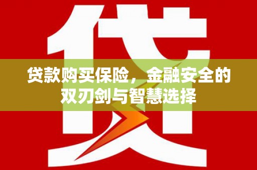 淄博贷款购买保险，金融安全的双刃剑与智慧选择