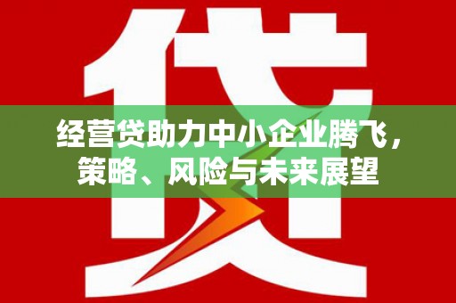 淄博经营贷助力中小企业腾飞，策略、风险与未来展望