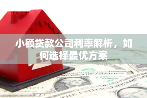 淄博小额贷款公司利率解析，如何选择最优方案