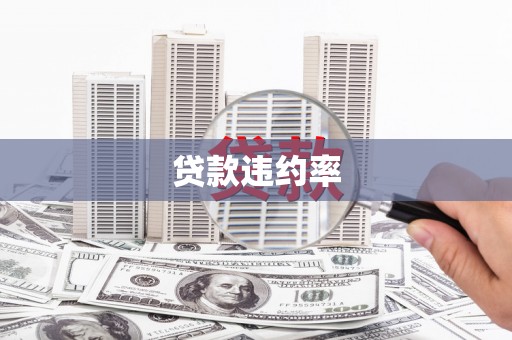 淄博贷款违约率