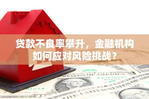 淄博贷款不良率攀升，金融机构如何应对风险挑战？