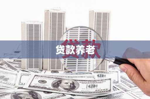 淄博贷款养老