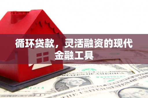 淄博循环贷款，灵活融资的现代金融工具