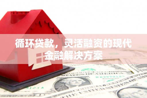 淄博循环贷款，灵活融资的现代金融解决方案
