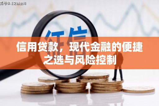 淄博信用贷款，现代金融的便捷之选与风险控制