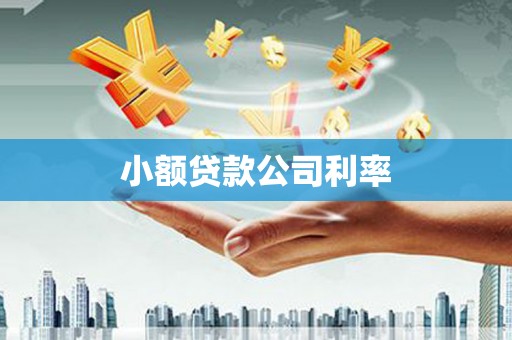 淄博小额贷款公司利率