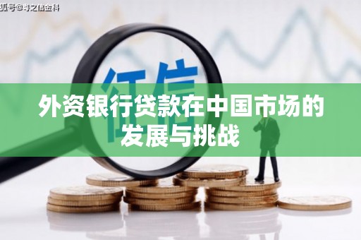 淄博外资银行贷款在中国市场的发展与挑战