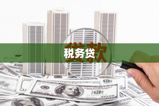 淄博税务贷