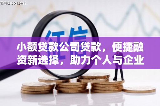 淄博小额贷款公司贷款，便捷融资新选择，助力个人与企业成长
