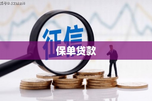 淄博保单贷款