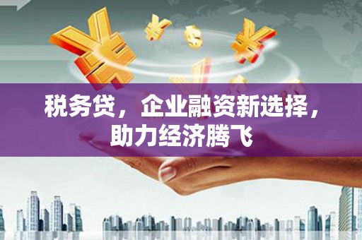 淄博税务贷，企业融资新选择，助力经济腾飞