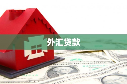 淄博外汇贷款