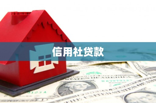 淄博信用社贷款