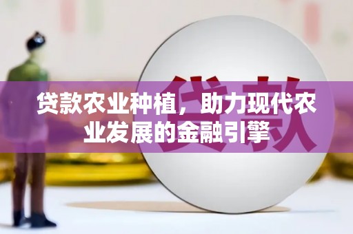 淄博贷款农业种植，助力现代农业发展的金融引擎