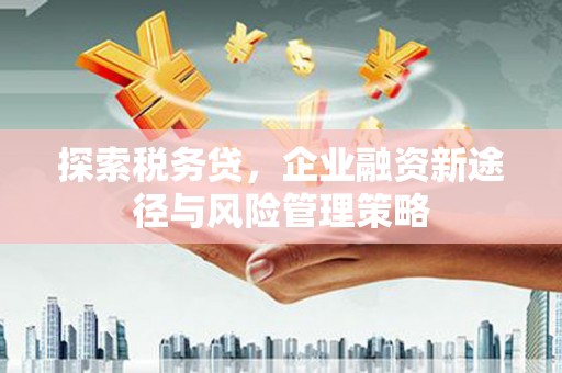 淄博探索税务贷，企业融资新途径与风险管理策略