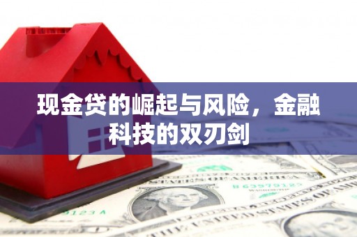 淄博现金贷的崛起与风险，金融科技的双刃剑