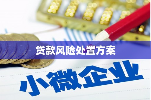 淄博贷款风险处置方案
