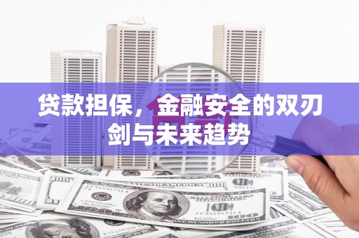 淄博贷款担保，金融安全的双刃剑与未来趋势