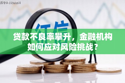 淄博贷款不良率攀升，金融机构如何应对风险挑战？