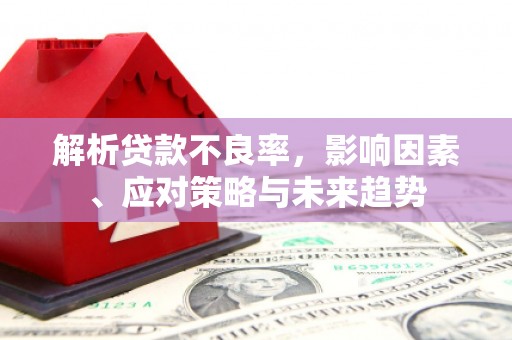 淄博解析贷款不良率，影响因素、应对策略与未来趋势