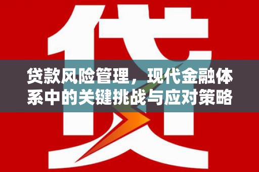 淄博贷款风险管理，现代金融体系中的关键挑战与应对策略