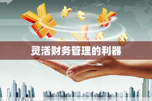 淄博灵活财务管理的利器