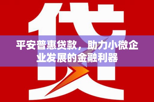 淄博平安普惠贷款，助力小微企业发展的金融利器