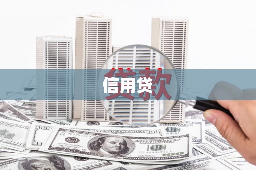 淄博信用贷